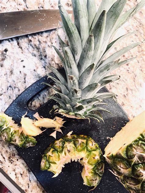 How to Propagate a Pineapple Plant - Life Love Larson