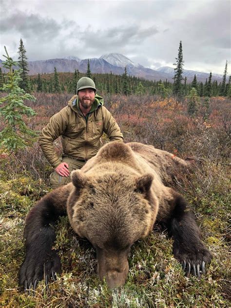 Grizzly Bear | Alaska Brown Bear Hunts - Litzen Guide Service