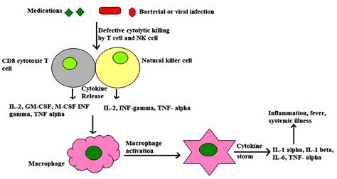 A Review on Macrophage Activation Syndrome - Journal of Pure and ...