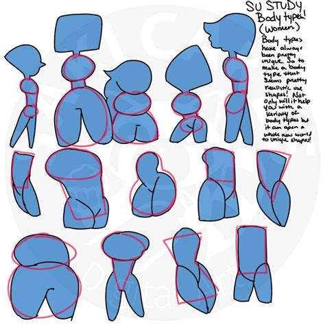 SU Faces and Body types Study pt. 1 | Steven Universe Amino