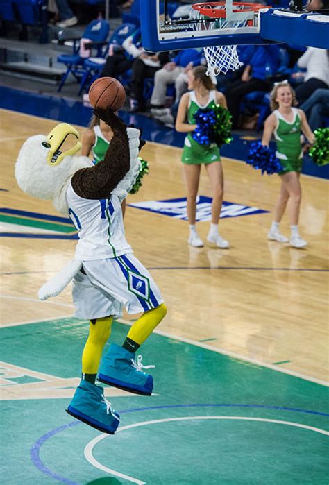 Azul the Eagle flies high among collegiate mascots - FGCU 360