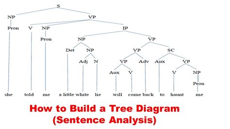 Free sentence tree diagram examples, Download Free sentence tree diagram examples png images ...