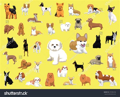 Small Dog Breeds Set Breeds Names Stock Vector (Royalty Free) 609138761 Shutterstock ...