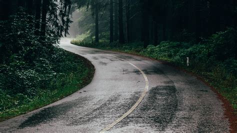 Rain In Jungle Road Nature View 4k Wallpaper - Forest Road Wallpaper ...