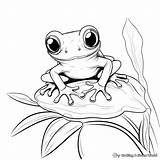 Red Eyed Tree Frog Coloring Pages  Free & Printable sketch template