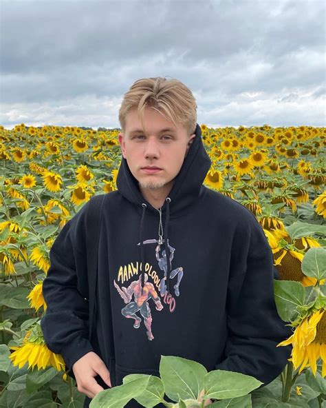sunflower 🌻 | Sunflower