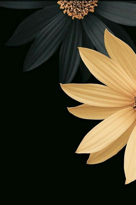 Black & Gold Flower | Beautiful wallpapers, Cellphone wallpaper, Flowers