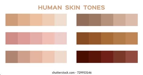 Skin Dark Light Face: Over 1,283 Royalty-Free Licensable Stock Vectors & Vector Art | Shutterstock