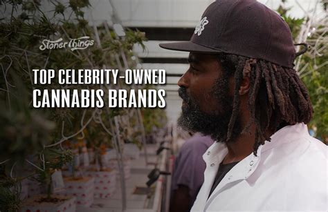 Top Celebrity-Owned Cannabis Brands You Should Know About - Stoner Things