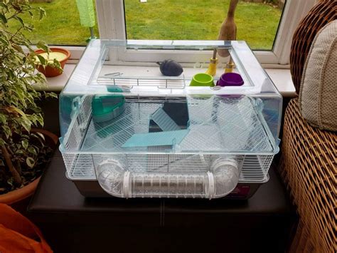 Dwarf hamster cage | in Southampton, Hampshire | Gumtree