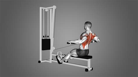 Wide Grip Cable Rows: Benefits, Muscles Worked, and More - Inspire US