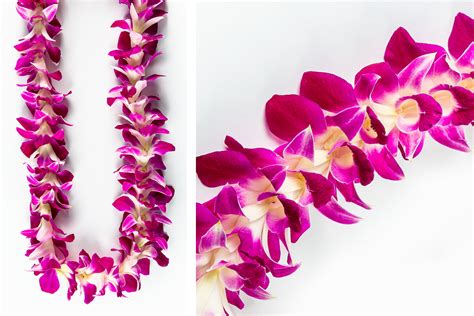 Hawaiian Lei Flower Necklace | Best Flower Site