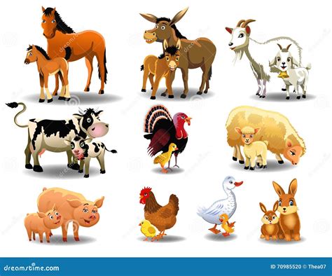 Farm Animals And Their Babies Stock Vector - Image: 70985520