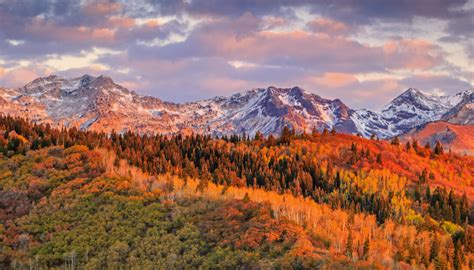 Wasatch County Landscape Analysis – Two Kids and a Dog