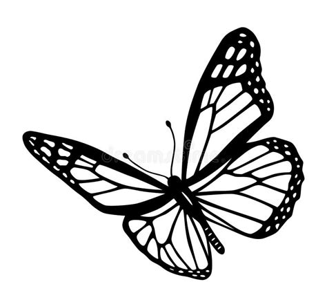 White Butterflies Clipart