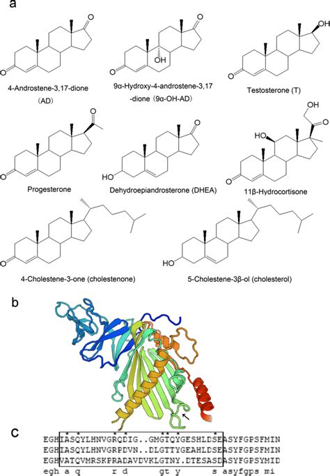 Structures of the steroids and 3D model structure of KshA1LY-1. a... | Download Scientific Diagram