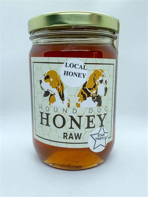 Star Thistle Raw Honey 1lb Jar