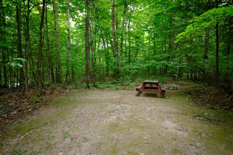 Transient Sites – Woodland Campsite | Seasonal and Daily Transient Camping on Buckhorn Lake