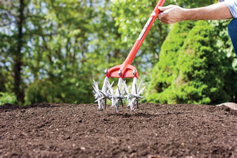 How to Create a Vegetable Patch in Your Garden