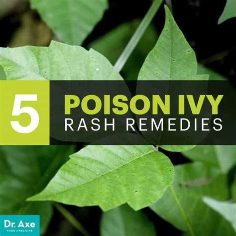 Top 5 Natural Remedies for Poison Ivy Rash - Dr. Axe