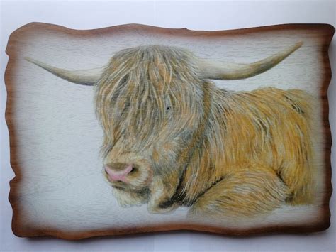 Hamish the Highland Cow Wall Plaque - Etsy