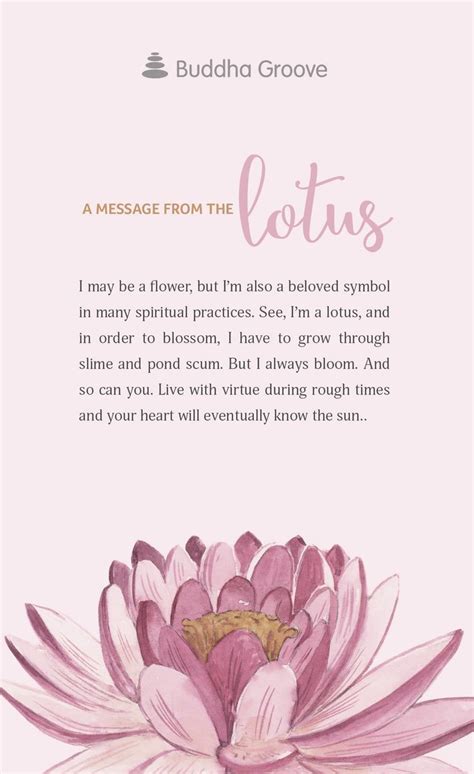 A message from the Lotus | Citate inteligente | Idei tatuaje, Citate ...