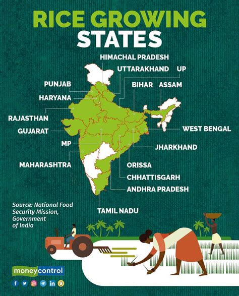 Rice is at risk if monsoon does not stabilise, says D K Joshi of Crisil