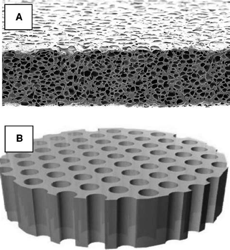 A schematic illustration of the porous support types: (A) isotropic... | Download Scientific Diagram