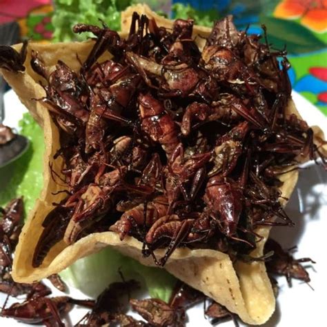 Chapulines - Gastro Obscura