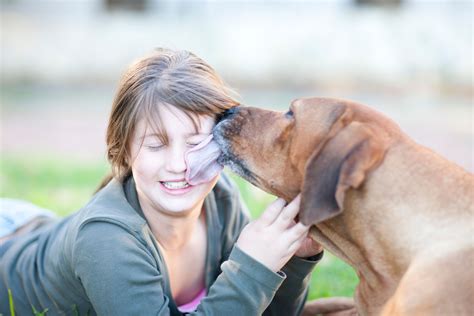 Why Do Dogs Like to Lick People?