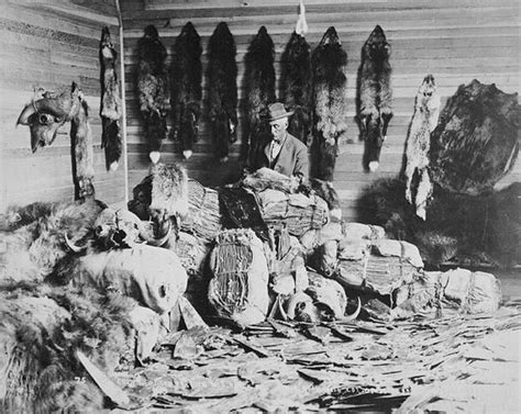 Exchanges of the Fur Trade and American Industry - Home