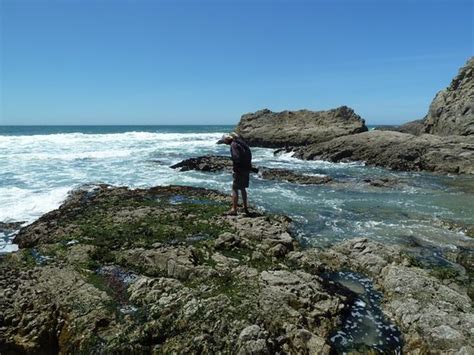 Point Reyes Hiking Trails (Point Reyes Station, CA): Top Tips Before You Go (with Photos ...