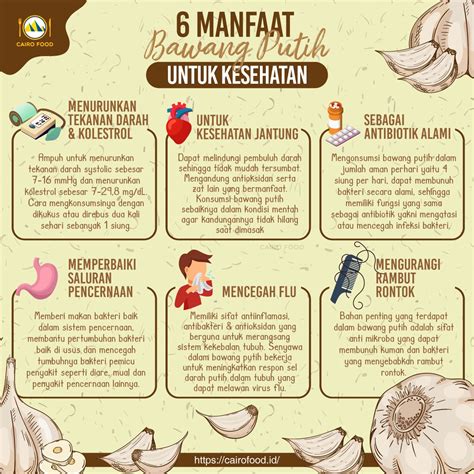 6 Manfaat Bawang Putih Untuk Kesehatan - Cairo Food