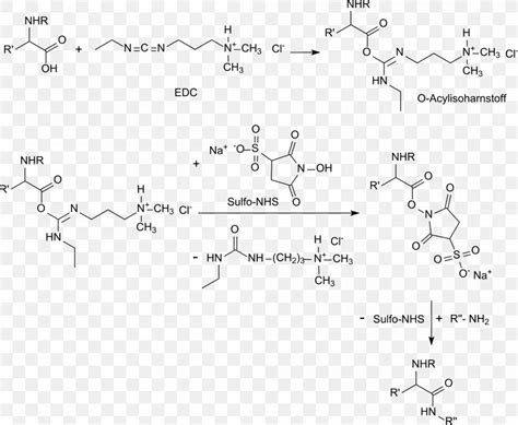 N-Hydroxysulfosuccinimide Sodium Salt N-Hydroxysuccinimide Hydroxybenzotriazole PH Carboxylic ...