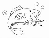 Free Fish Coloring Pages ⋆ The Hollydog Blog sketch template