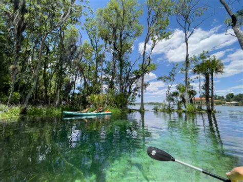 Kayaking Around Three Sisters Springs in Crystal River, Florida