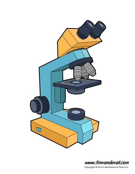 Microscope Diagram Labeled, Unlabeled and Blank | Parts of a Microscope