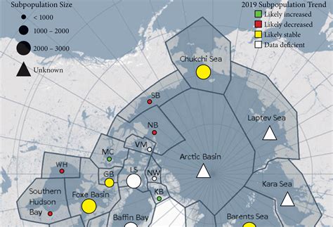 The global polar bear population is threatened by loss of sea ice, contrary to PragerU’s video ...