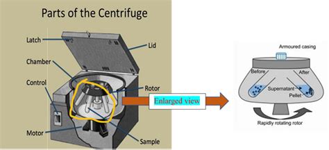 Let's Talk About...Centrifugal Force - My Passion For Science