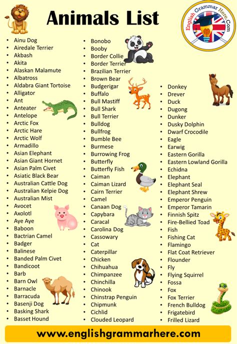 40 animals name, Detailed Animals Names List - English Grammar Here