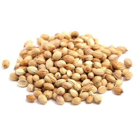 Coriander Seeds | Hari Ghotra