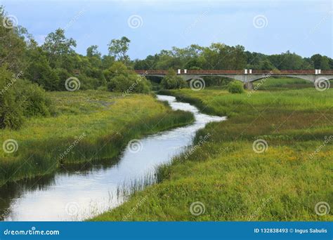 Bridge Over the Kasari River in Summer Stock Image - Image of green ...