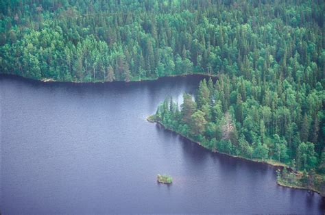 Uncover the legacy of Great Solovetsky Island - Russia Beyond