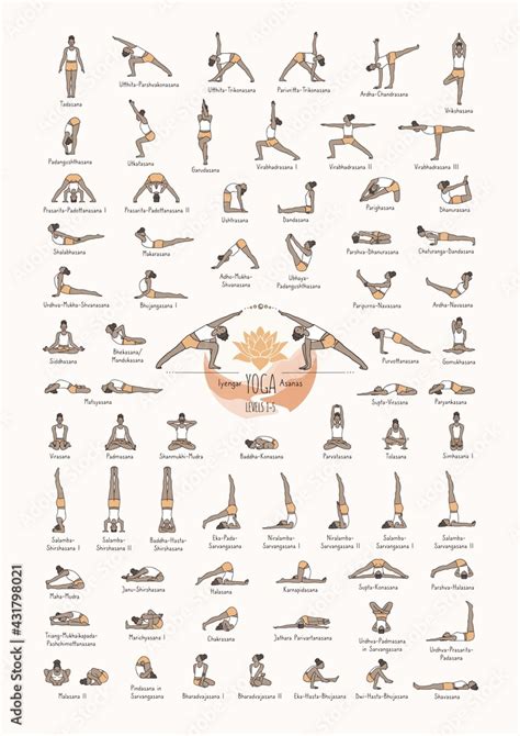 Hand drawn poster of hatha yoga poses and their names, Iyengar yoga ...