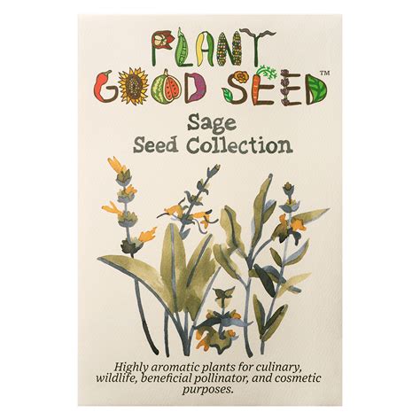 Sage Seed Collection - The Plant Good Seed Company