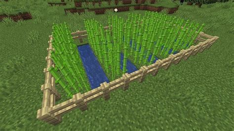 How to grow Sugar Cane in Minecraft: Step by Step Guide