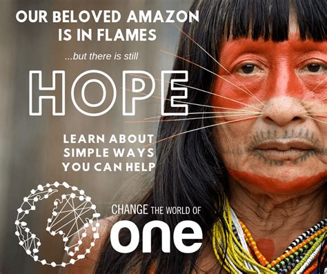 The Amazon Rainforest is on Fire... But There is Still Hope. - Change ...