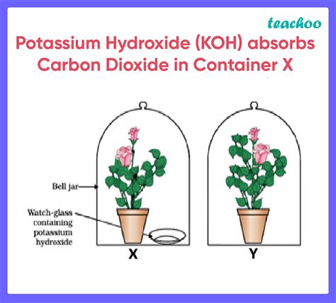 Question 53 (Case Based MCQ) - Solutions - CBSE Class 10 Sample Paper