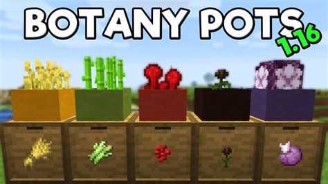 Botany Pots Mod Spotlight - Minecraft 1.16.3 - YouTube