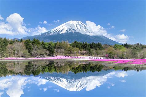 Mount Fuji & Hakone Sightseeing Tour - Japan Shore Excursions